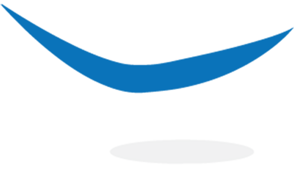 Pam Logo Icon